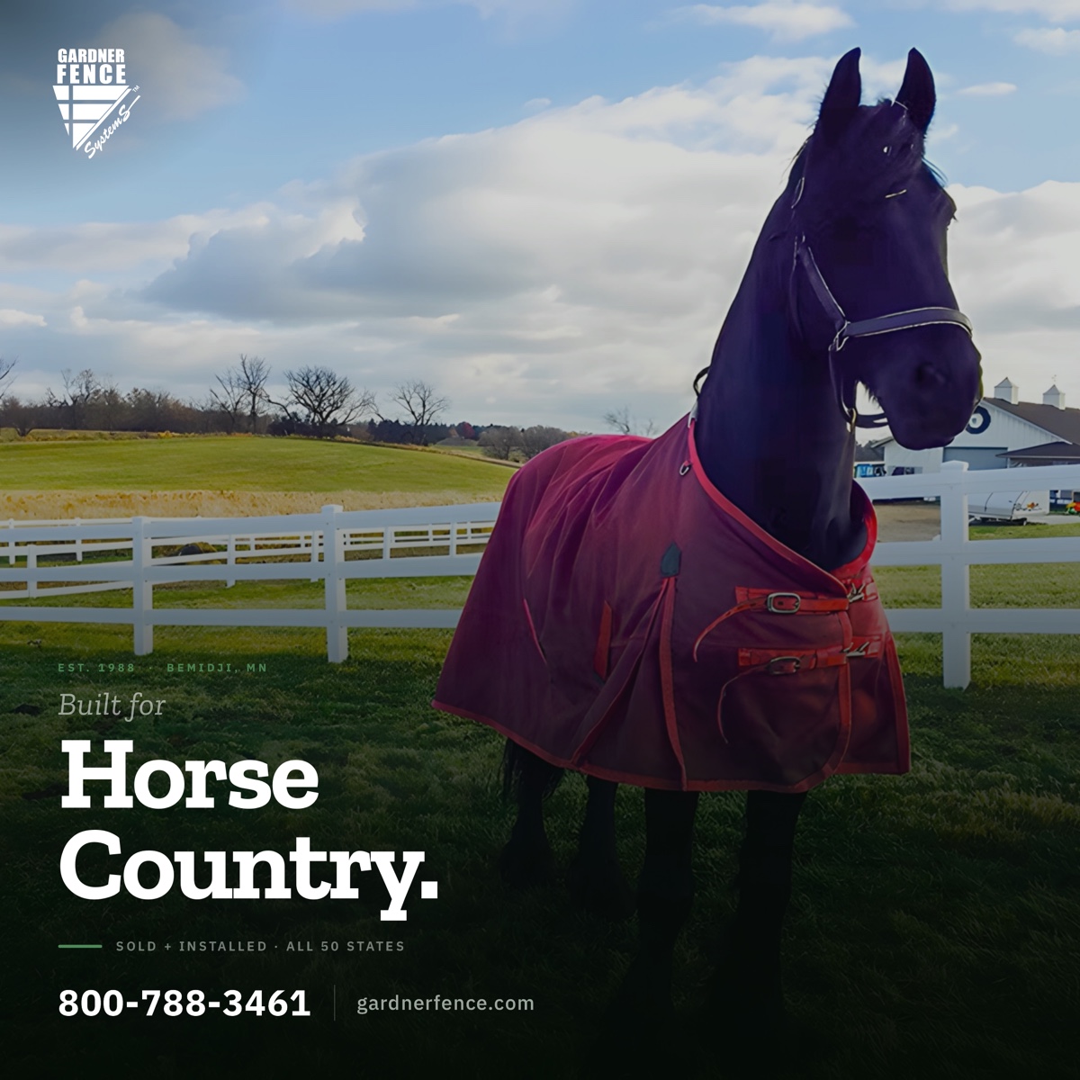 paid-horse.jpg