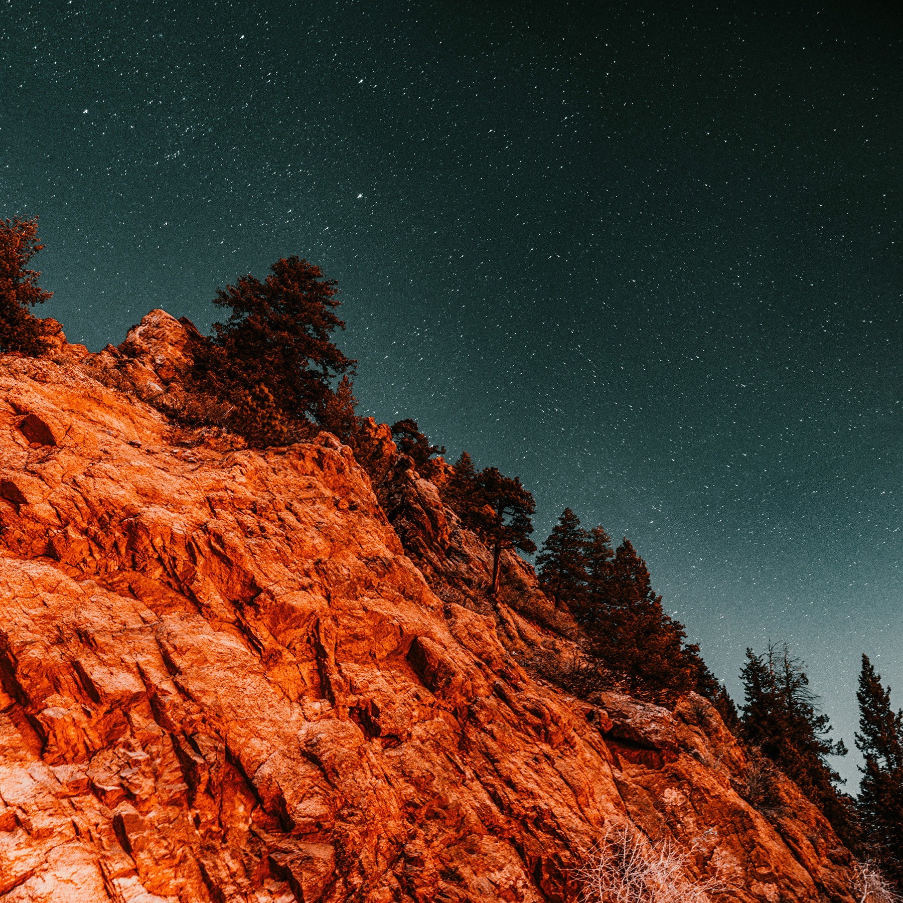 Night landscape